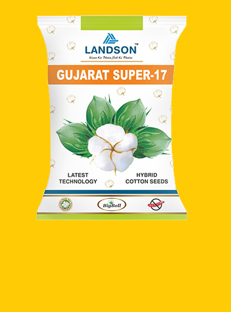 Cotton Gujarat Super-17